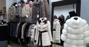 королевство меха скидки гродно