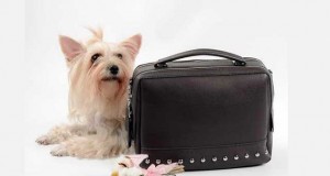 новая коллекция сумок сакс в гродно