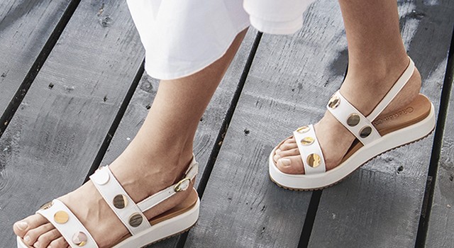 белвест гродно